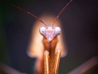 DSCF5993b