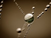 Automne-04