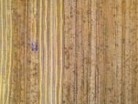 Creating-different-lines