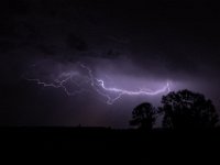 DSCF6130