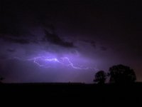 DSCF6132