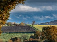 Herfstlicht-2025-02