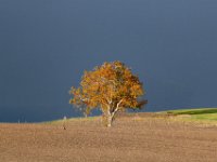 Herfstlicht-2025-03
