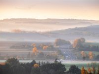 Highway-in-fall