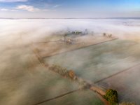 Le-matin-se-reveille