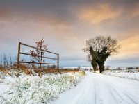 Les-marchands-sneeuw-01