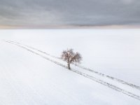 Les-marchands-sneeuw-13