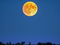 Moonrise-over-the-tower