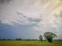 PSX 20220522 211347