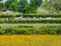 Rurale-france
