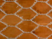 Spiky-fence