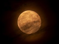 Volle-maan