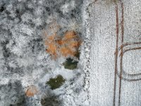 Winter-patterns