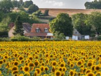 Les Marchands Chezelle