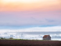 mistige-zonsopkomst-Bellenaves