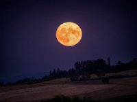 moonrise