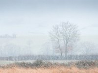 snow-chezelle-01