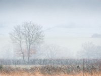 snow-chezelle-02