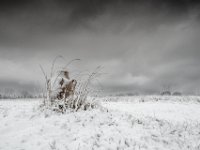 winterkruik