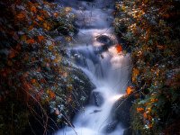 Fall