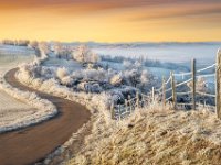 A-winter-morning-glow
