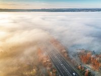 Driving-into-the-fog