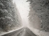 Foret des Colettes-04