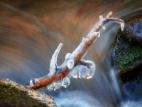 Frozen-Stick