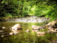Gorges de Sioule 02
