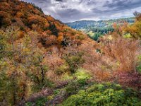 Gorges de Sioule 03