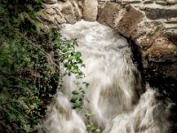 Le-vieux-moulin