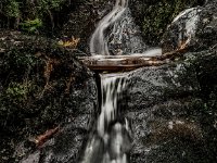 Little-Fall-3