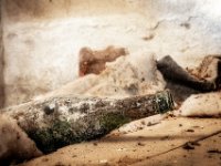 The-bottle