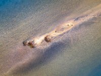 Three-birds-on-a-sandbank