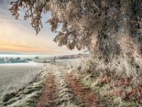 frozen-country-road