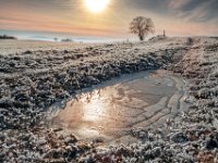 frozen-puddle