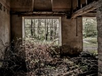 the-window