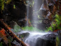 Cascade-du-Saut-du-Loup
