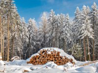 Froid-et-bois