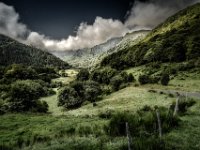 Green valley