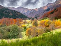 Herfstkleuren-auvergne-02