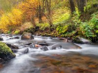 Herfstkleuren-auvergne-03