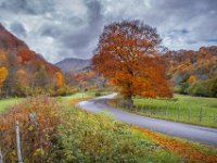 Herfstkleuren-auvergne-05