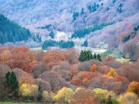Herfstkleuren-auvergne-07