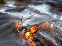 Herfstkleuren-auvergne-10