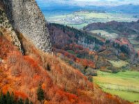 Herfstkleuren-auvergne-11