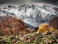 Le-massif-du-Sancy-02
