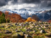 Massif-du-Sancy