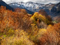 Massif-du-Sancy2