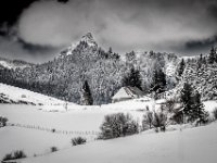 Winterfarm